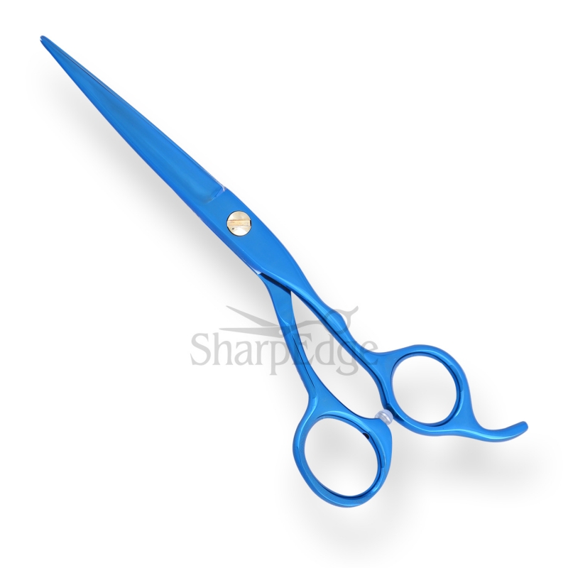 Professional Hair Dressing Scissors 